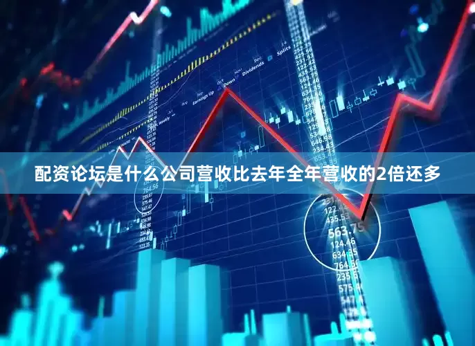配资论坛是什么公司营收比去年全年营收的2倍还多